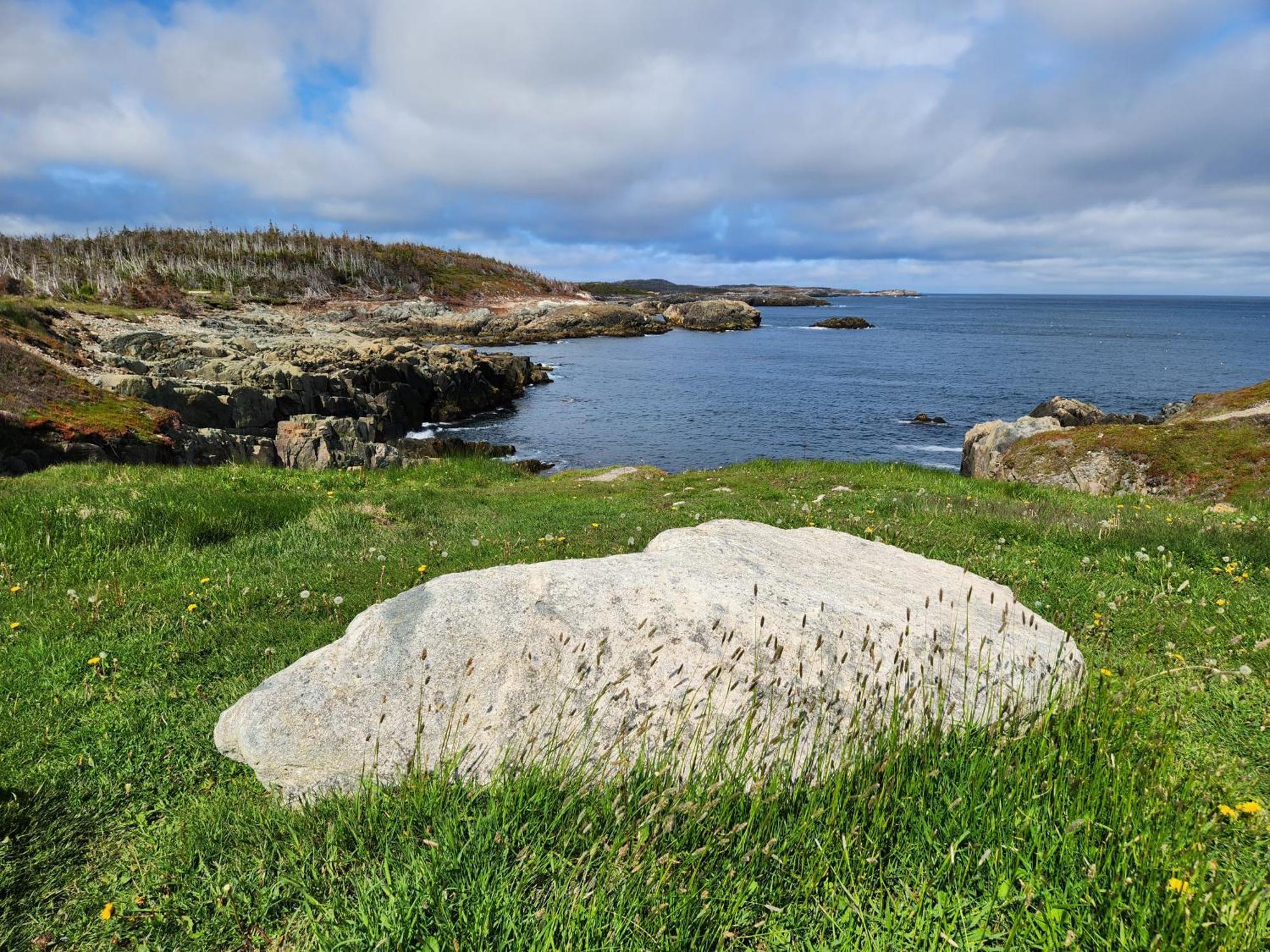 Louisbourg Heritage House Bed & Breakfast Exterior photo